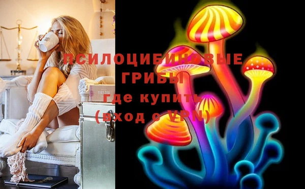 стафф Алзамай
