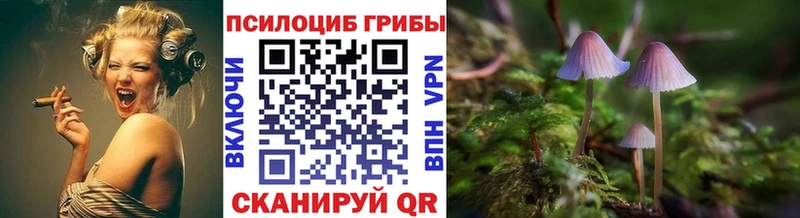 Галлюциногенные грибы Psilocybe  купить наркотики цена  Грайворон 